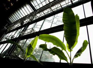 Patrimônio cultural, Teatro Oficina é ameaçado novamente pela especulação imobiliária