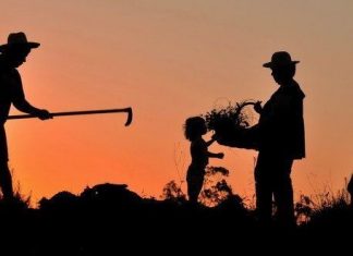 Considerações iniciais sobre a reforma trabalhista no campo