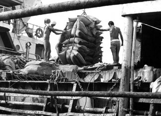 Docas de Santos e ditadura: unha e carne