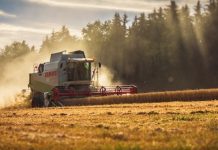 Dados parciais do Censo Agropecuário mostram a desigualdade no campo brasileiro