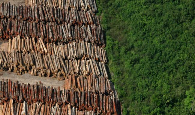 Fusão de ministérios: A entrega do Meio Ambiente para o Agronegócio