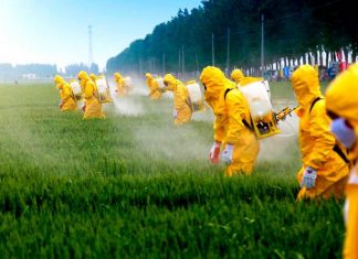 Agrotóxicos: o veneno na mesa de todos