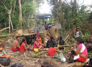 Autodemarcação indígena para enfrentar Bolsonaro