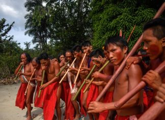 Em meio ao discurso de Bolsonaro contra indígenas, garimpeiros invadem território Wajãpi e executam liderança