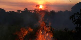 Jornada pelo Clima: Capitalismo condena humanidade à catástrofe ambiental