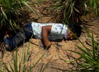 Mais dois Guajajaras são assassinados no Maranhão