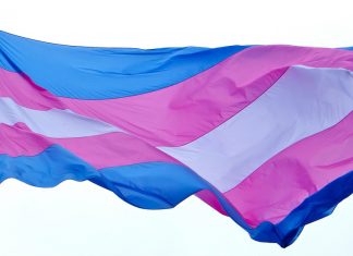 A travestilidade e a transexualidade em tempos de pandemia da Covid-19