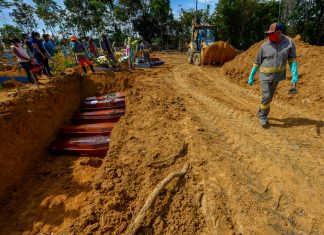 Os mercadores de vida