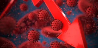 As duas pestes do capitalismo