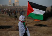 5 livros da Editora Sundermann sobre a resistência Palestina