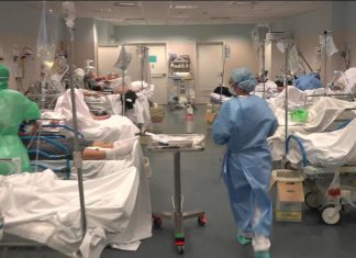 As mortes pela Covid-19 podem ser enquadradas como acidentes de trabalho?