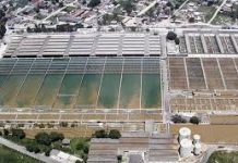 Necessitamos de uma CEDAE 100% estatal