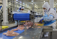 Infecção de operários mostra descaso assassino dos patrões