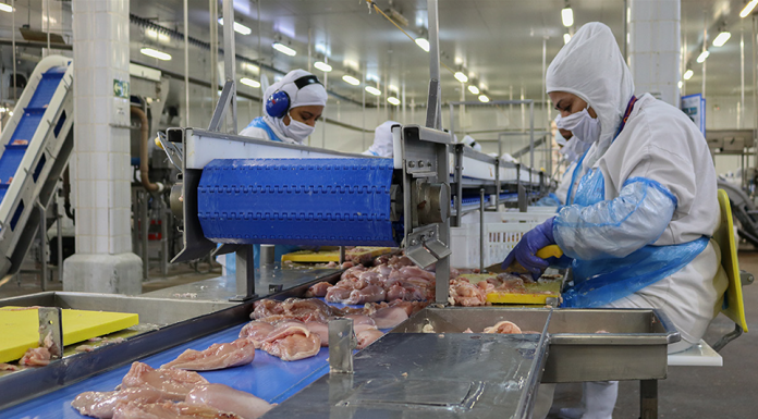 Infecção de operários mostra descaso assassino dos patrões