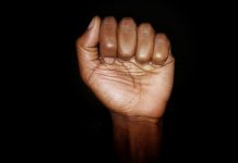 As revoltas negras no Brasil e a construção do “Homem cordial”: O caso João Pedro e a reação negra norte-americana