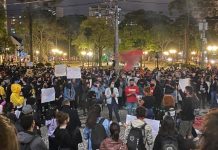 Ir às ruas ou ficar em isolamento? Chega de genocídio do povo negro! Em defesa da vida, fora Bolsonaro!