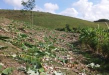 PE: Agricultor de área ameaçada por grileiros leva sete tiros