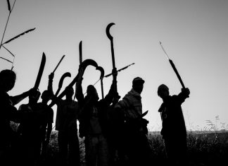 Os 172 anos da Lei de Terras e a luta pela Reforma Agrária no Brasil