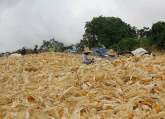 Resgate recorde de pessoas em situação de escravidão expõe mais uma vez a face escravista da burguesia