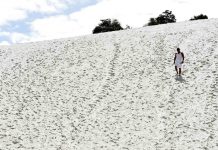 Bahia: É preciso barrar o projeto de urbanização das Dunas do Abaeté