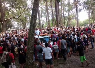 8 anos depois, justiça absolve professores em processo do Levante do Bosque/UFSC