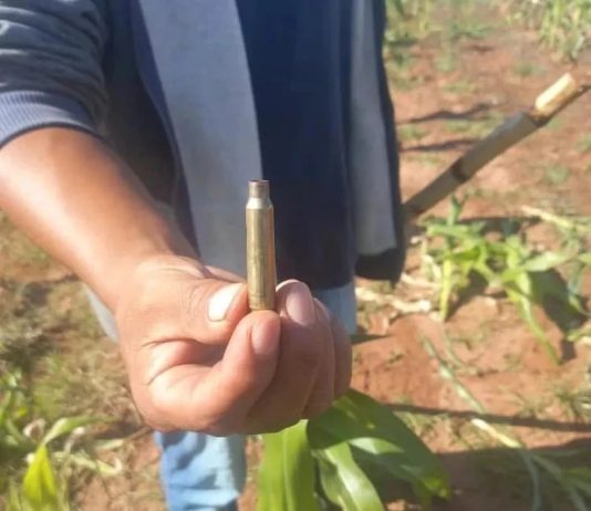 Policiais e jagunços atacam Guaranis Kaiowás em Amambai (MS)