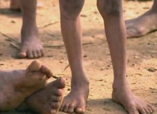 Crianças Yanomami pedem socorro!