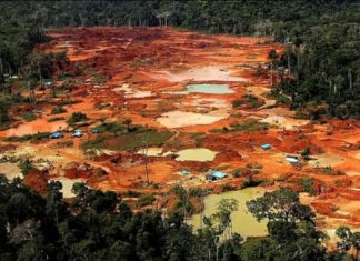 Nem tudo que reluz é ouro: os meandros do garimpo ilegal